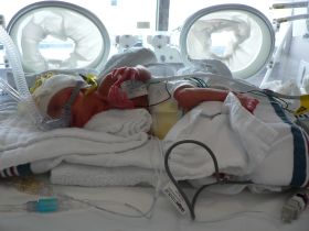 July 16/06 - Isabel resting in her incubator