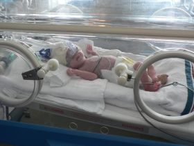 Aug 3/06 - Isabel in her incubator (width-wise)